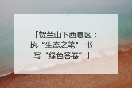 贺兰山下西夏区：执“生态之笔” 书写“绿色答卷”