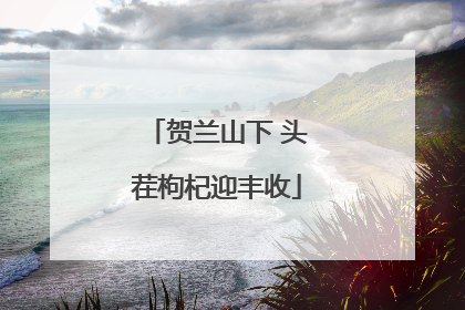 贺兰山下 头茬枸杞迎丰收