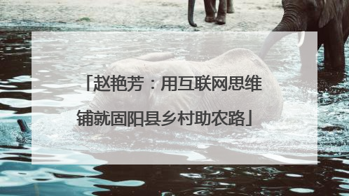 赵艳芳：用互联网思维铺就固阳县乡村助农路