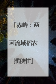 赤峰：两河流域稻农插秧忙
