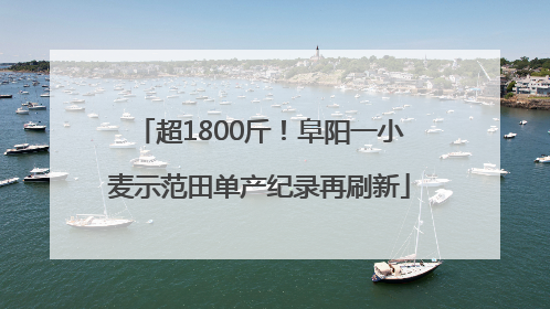 超1800斤！阜阳一小麦示范田单产纪录再刷新