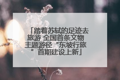 踏着苏轼的足迹去旅游 全国首条文物主题游径“东坡行旅”首期建设上新