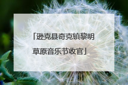 逊克县奇克镇黎明草原音乐节收官