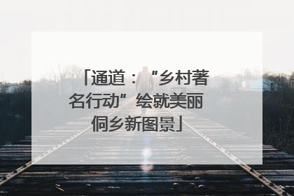 通道：“乡村著名行动”绘就美丽侗乡新图景