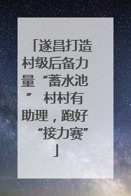遂昌打造村级后备力量“蓄水池” 村村有助理，跑好“接力赛”