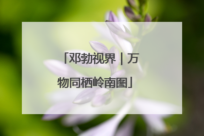 邓勃视界｜万物同栖岭南图