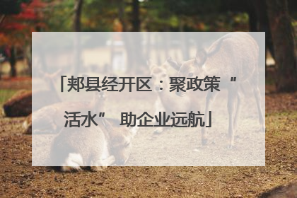 郏县经开区：聚政策“活水” 助企业远航