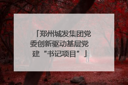 郑州城发集团党委创新驱动基层党建“书记项目”