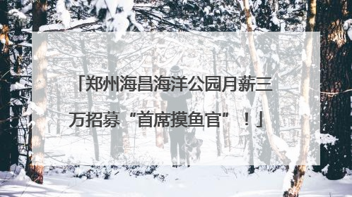 郑州海昌海洋公园月薪三万招募“首席摸鱼官”！