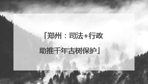 郑州：司法+行政助推千年古树保护