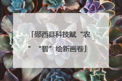 郧西县科技赋“农”“智”绘新画卷