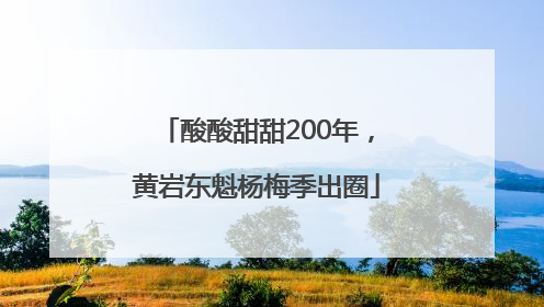酸酸甜甜200年，黄岩东魁杨梅季出圈