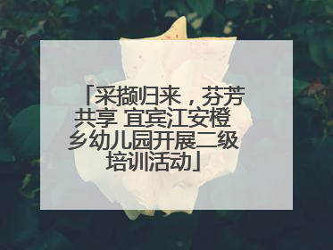 采撷归来，芬芳共享 宜宾江安橙乡幼儿园开展二级培训活动