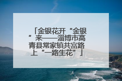 金银花开“金银”来——淄博市高青县常家镇共富路上“一路生花”
