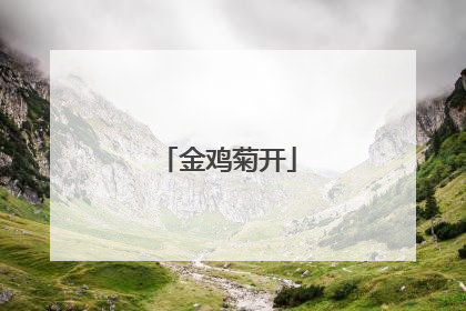 金鸡菊开