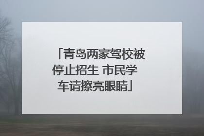 青岛两家驾校被停止招生 市民学车请擦亮眼睛