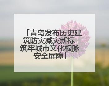 青岛发布历史建筑防灾减灾新标 筑牢城市文化根脉安全屏障