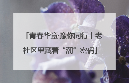 青春华章·豫你同行丨老社区里藏着“潮”密码