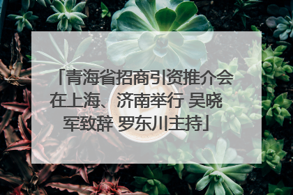 青海省招商引资推介会在上海、济南举行 吴晓军致辞 罗东川主持