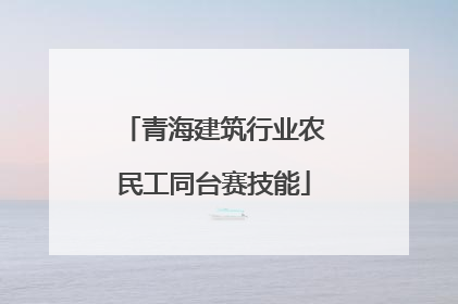 青海建筑行业农民工同台赛技能