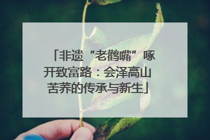 非遗“老鹳嘴”啄开致富路：会泽高山苦荞的传承与新生