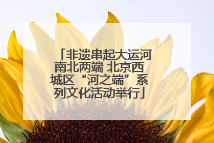 非遗串起大运河南北两端 北京西城区“河之端”系列文化活动举行
