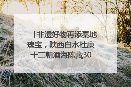 非遗好物再添秦地瑰宝，陕西白水杜康十三朝酒海陈藏30年别具一格