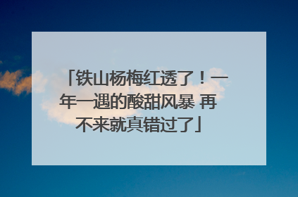 铁山杨梅红透了！一年一遇的酸甜风暴 再不来就真错过了