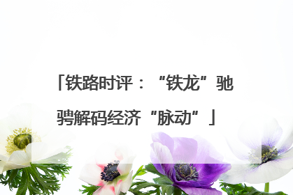 铁路时评：“铁龙”驰骋解码经济“脉动”