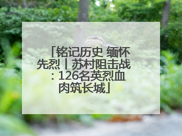 铭记历史 缅怀先烈丨苏村阻击战：126名英烈血肉筑长城