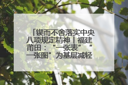 锲而不舍落实中央八项规定精神丨福建莆田：“一张表”“一张图”为基层减轻“数字负担”