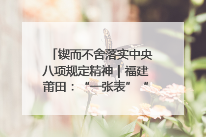 锲而不舍落实中央八项规定精神｜福建莆田：“一张表”“一张图”为基层减轻“数字负担”