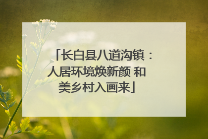 长白县八道沟镇：人居环境焕新颜 和美乡村入画来