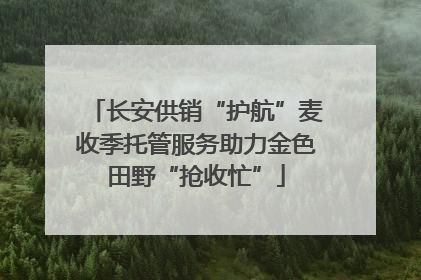 长安供销“护航”麦收季托管服务助力金色田野“抢收忙”