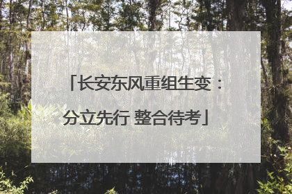 长安东风重组生变：分立先行 整合待考
