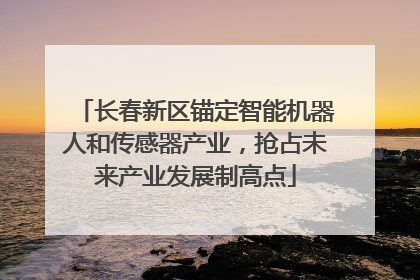 长春新区锚定智能机器人和传感器产业，抢占未来产业发展制高点