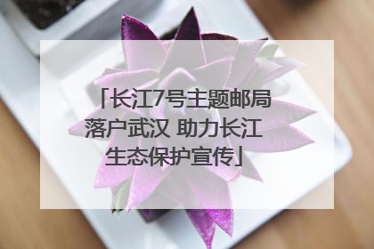 长江7号主题邮局落户武汉 助力长江生态保护宣传