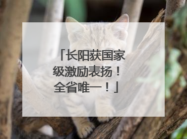 长阳获国家级激励表扬！全省唯一！