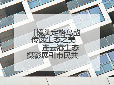 镜头定格鸟韵 传递生态之美——连云港生态摄影展引市民共赏自然之魅