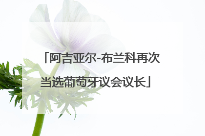 阿吉亚尔-布兰科再次当选葡萄牙议会议长