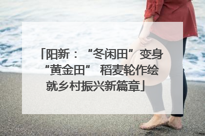 阳新：“冬闲田”变身“黄金田” 稻麦轮作绘就乡村振兴新篇章