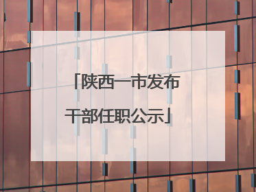 陕西一市发布干部任职公示