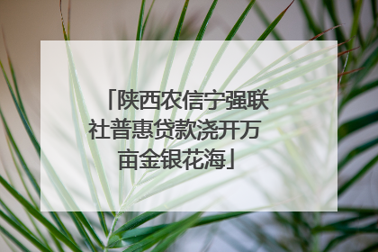 陕西农信宁强联社普惠贷款浇开万亩金银花海