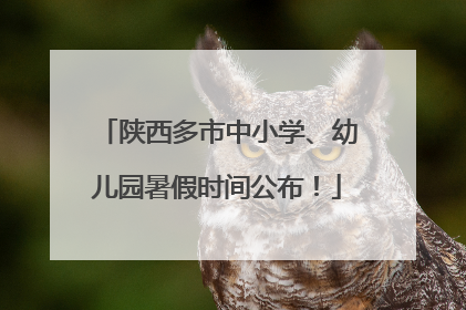 陕西多市中小学、幼儿园暑假时间公布!