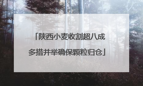 陕西小麦收割超八成 多措并举确保颗粒归仓