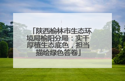 陕西榆林市生态环境局榆阳分局：实干厚植生态底色，担当描绘绿色答卷