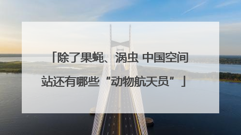除了果蝇、涡虫 中国空间站还有哪些“动物航天员”