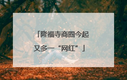 隆福寺商圈今起又多一“网红”