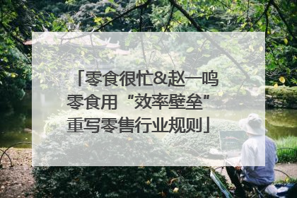 零食很忙&赵一鸣零食用“效率壁垒”重写零售行业规则