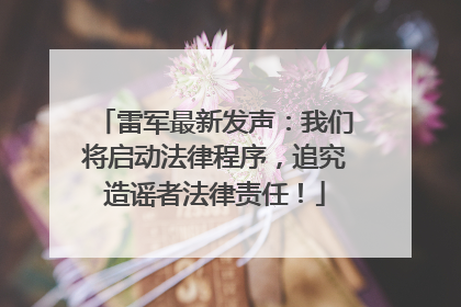 雷军最新发声：我们将启动法律程序，追究造谣者法律责任！